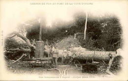 CÔTE D'IVOIRE - Carte Postale - Scie Tronçonneuse à Vapeur - Abidjan (Avril 1904 ) - L 120803 - Côte-d'Ivoire