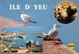 PIE-22-1° M : 3200 :  ILE D'YEU - Ile D'Yeu