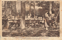 69 - RHÔNE - CALUIRE -Pensionnat Municipal De Jeunes Filles, Quai G. Clémenceau Classe Sous Les Sapins Voir Scans-10183 - Caluire Et Cuire