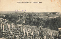 69 - RHÔNE - CHÉNAS - Moulin à Vent, Grands Crus De Vin - Cliché L.PETIT - 10151 - Chenas