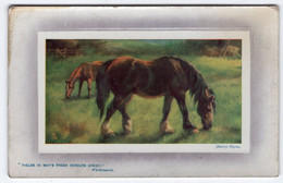 HARRY PAYNE - "Fields In May... - Tuck Gem Oilette 9757 - Tuck, Raphael