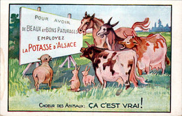 Cpa Publicitaire La Potasse D'Alsace Cheval Horse Cavallo Âne Donkey Asino Vache Cow Mucca Mouton Sheep Pecora B.E - Advertising