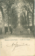 Souvenir De St. Trond 1902; L'allée Des Soupirs - Voyagé. (Vanderauwera & Cie. - Bruxelles) - Sint-Truiden