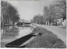 CAPESTANG   LE  CANAL DU MIDI  ANNEE 1958 - Capestang