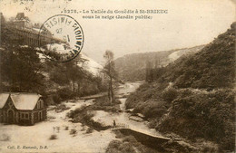 St Brieuc * La Vallée Du Gouëdic , Sous La Neige * Le Jardin Public - Saint-Brieuc