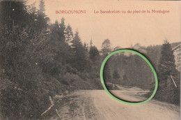 Borgoumont: Le Sanatorium Vu Du Pied De La Montagne, 1925 - Stoumont