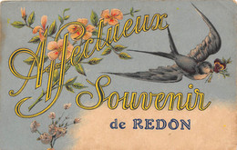 35-REDON- AFFECTEUEX SOUVENIR DE REDON - Redon