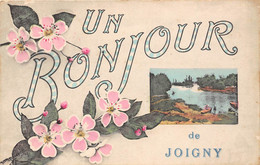 89-JOIGNY- UN BONJOUR DE JOIGNY - Joigny