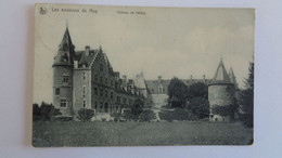 Environ De Huy LE CHÂTEAU DE FALLAIS Braives Province Liège Belgique Carte Postale - Braives