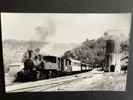 Photo De DAHLSTRÖM  : Train Vapeur 403  En Gare De BOUCIEU Le ROI En 1978 - Treni