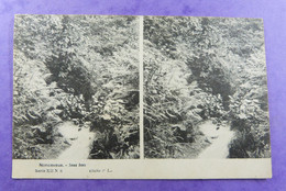 Nonceveux  Stereokaart  Stereoscopique  Serie XII N5 & N6 -2 X Cpa - Stereoscopische Kaarten