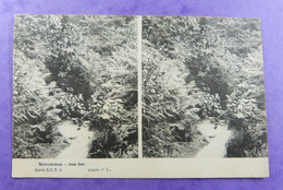 Nonceveux  Stereokaart  Stereoscopique  Serie XII N5 & N6 -2 X Cpa - Stereoscope Cards