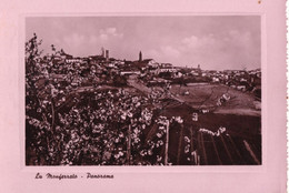 Lu Monferrato - Panorama - Formato Grande Viaggiata Mancante Di Affrancatura – FE170 - Alessandria