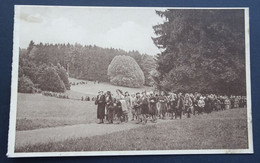 Château D'Ardenne - Promenade Dans Le Parc (Photo Achel # 63-1984) - Houyet