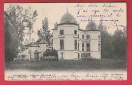 Hoegaarden - Château Des Lilas - 1904 ( Verso Zien ) - Hoegaarden