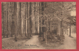 Rhode-St-Genèse -Petite Espinette - Chemin Du Château D'Eau - 1931 ( Voir Verso ) - Rhode-St-Genèse - St-Genesius-Rode