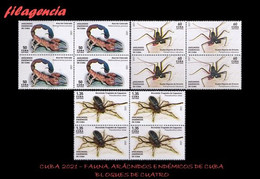 CUBA. BLOQUES DE CUATRO. 2021-09 FAUNA. ARÁCNIDOS ENDÉMICOS DE CUBA - Unused Stamps