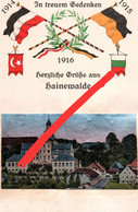 Litho AK Hainewalde In Treuem Gedenken WW 1 Weltkrieg Wappen A Großschönau Bertsdorf Hörnitz Seifhennersdorf Zittau - Grossschoenau (Sachsen)