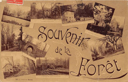 95-SAINT-PRIX-SOUVENIR DE LA FORÊT MULTIVUES - Saint-Prix