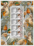 België / Belgium - Postfris/MNH - Sheet Vogelbescherming 2022 - Ungebraucht