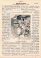 A102 1083 Schwarzwald Forellen Fischerei Artikel / Bilder 1895 !! - Autres & Non Classés