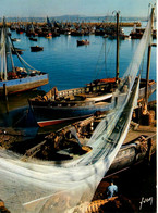 Douarnenez * Le Port Des Sardiniers * Bateaux Pêche - Douarnenez