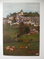 LAGUIOLE Vue Générale,  Troupeau De Vaches Au Premier Plan - CPM 12 AVEYRON - Laguiole