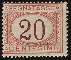 REGNO D'ITALIA - SEGNATASSE - 1890-94 - Valore Nuovo S.t.l. Da 20 C. Arancio E Carminio - In Buone Condizioni. - Impuestos