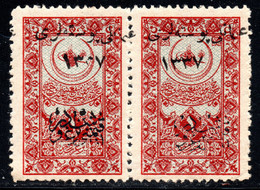 820.TURKEY IN ASIA.1921 HEJAZ RAILWAY  PAIR OVERPRINT VARIETIES MNH - 1920-21 Anatolie