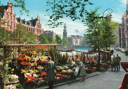 PAYS BAS,HOLLANDE SEPTENTRIONALE,HOLLAND,AMSTERDAM,COMMERCE DE FLEURS,TIMMER'S - Amsterdam