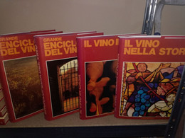 GRANDE ENCICLOPEDIA DEL VINO -IL VINO IN CASA -IL VINO NELLA STORIA LOTTO 4 VOLUMI - Huis En Keuken