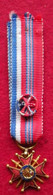 Ww1 Croix Décoration Militaire En Miniature - Sonstige & Ohne Zuordnung