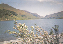 Postcard Tal Y Llyn Lake Gwynedd Wales My Ref B25447 - Zu Identifizieren