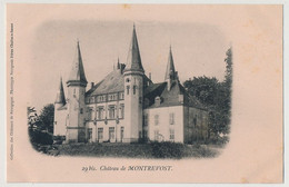 CPA -  CUISERY (Saône Et Loire) - Château De Montrevost - Autres & Non Classés