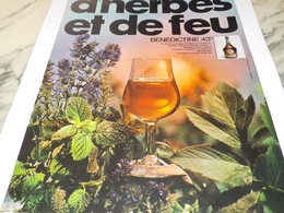 ANCIENNE PUBLICITE D HERBES ET DE FEU  BENEDICTINE 1970 - Alcools