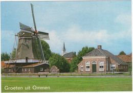 Groeten Uit Ommen - Molen Met Oudheidskamer  - (Overijssel, Nederland / Holland) - Nr. OMN 28 - Ommen