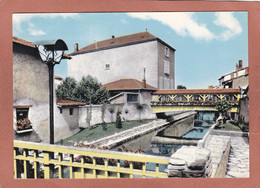 CHATILLON SUR CHALARONNE  LA CHALARONNE  BERGES PASSERELLES - Châtillon-sur-Chalaronne