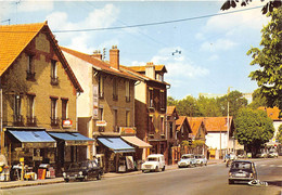 92-LE-PLESSIS-ROBINSON- AVENUE DU GENERALE LECLERC - Le Plessis Robinson