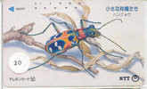 Bug - Punaise - Insect (20) - Autres & Non Classés