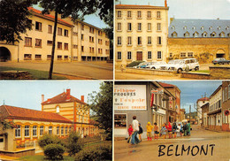 PIE-22-T-PL : 3250 : BELMONT-DE-LA-LOIRE. VUES MULTIPLES - Belmont De La Loire