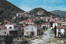 (V512) - FILIGNANO (Isernia) - Panorama - Isernia