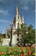 Cinderella's Castle, Disney World, Florida ! - Disneyworld