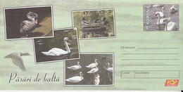 ANIMALS, BIRDS, SWANS, DUCKS, COVER STATIONERY, ENTIER POSTAL, 2015, ROMANIA - Cigni