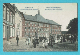 * Scherpenheuvel Zichem - Montaigu (Brabant) * (Edit D. Stalmans - Adriaens) Pensionnat Des Ursulines, Enfants, Animée - Scherpenheuvel-Zichem