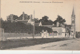 PLEUMARTIN -   Avenue De Chatellerault - Pleumartin