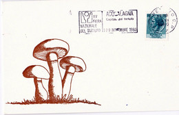 Carte Premier Jour - Mushrooms