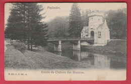 Pepinster - Entrée Du Château Des Mazures -190? ( Voir Verso ) - Pepinster