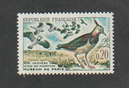 ANNÉE -  1960 -   N° 1273  - Oiseaux   - Vanneaux  -   Neuf Sans Charnière - Unused Stamps