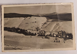 TODTNAUBERG . Allemagne . Une Vue A Reconnaitre . 1951 - Todtnau