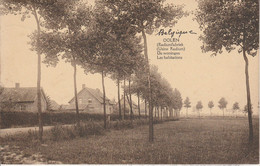 Belgique - OLEN - Les Habitations - Olen